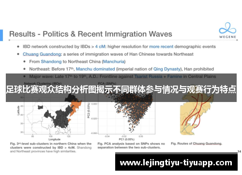足球比赛观众结构分析图揭示不同群体参与情况与观赛行为特点
